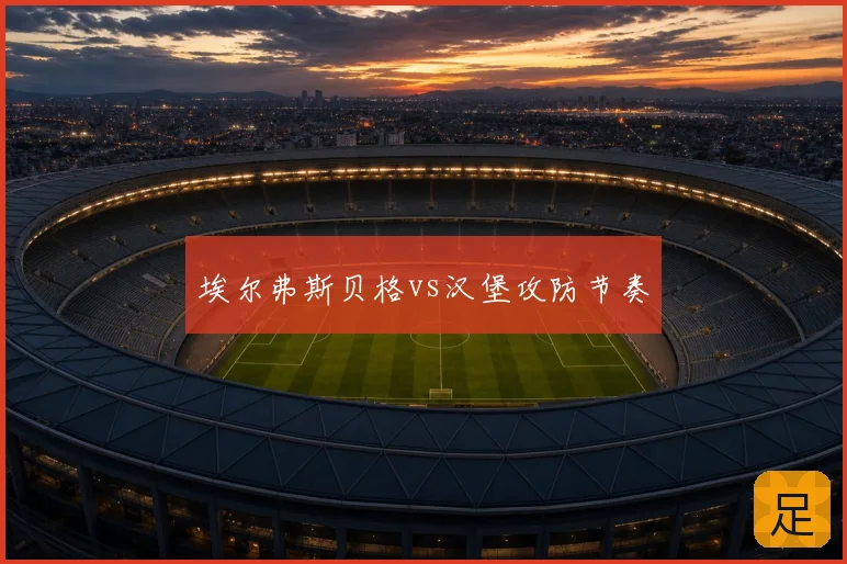 埃尔弗斯贝格vs汉堡攻防节奏